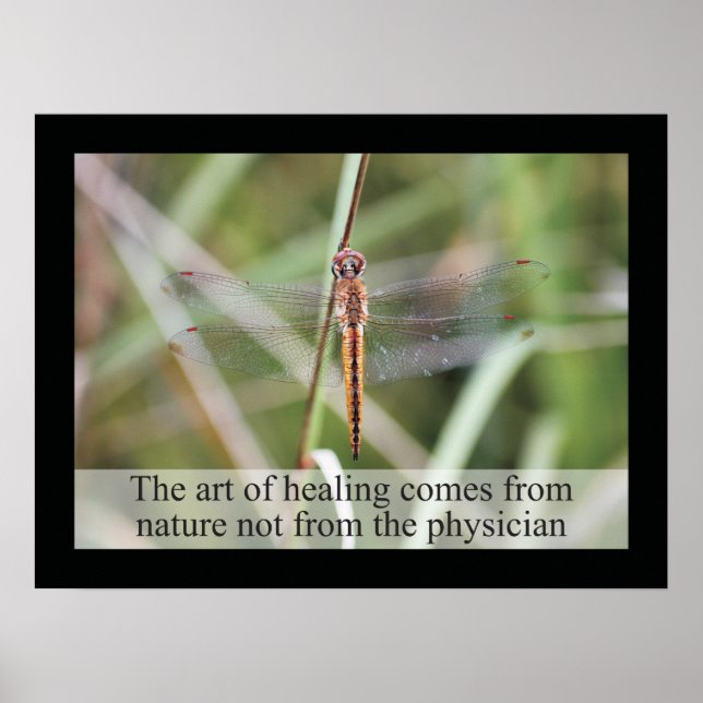 Citations et déclarations de chiropratique Poster  (Devant)