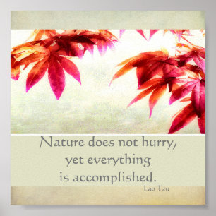 citations inspirantes poster nature art