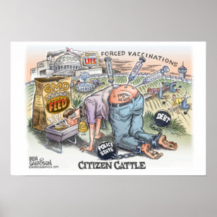 Citizen Cattle 19" x 13",  Poster Semi gloss