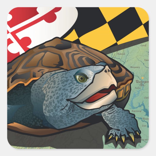 Citizen Terrapin, Maryland's Turtle Square Sticker (Front)