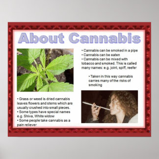 Citizenship, life skills  just say No! Poster