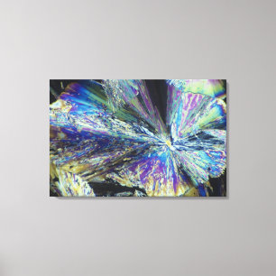 Citric Acid Crystals in Polarized Light Canvas Print