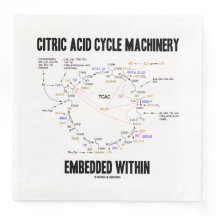 Citric Acid Cycle Machinery Embedded Within Krebs