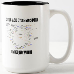 Citric Acid Cycle Machinery Embedded Within Krebs Two-Tone Coffee Mug