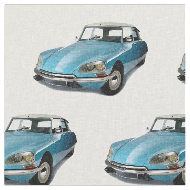 Citroen DS21 Fabric (Close Up)