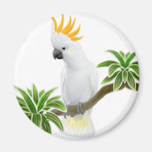 Citron Cockatoo Magnet