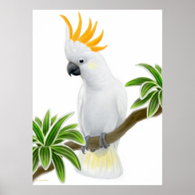 Citron Crested Cockatoo Poster (Front)