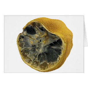 Citron vert