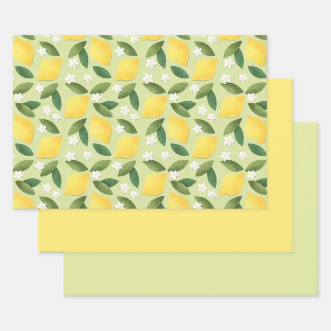 Citrons jaunes, Feuilles verts et fleurs blanches (Lot)