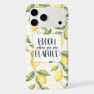 Citrons jaunes fleurissent où vous êtes plantés