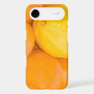 Citrons Oranges Citrus Fruits Alimentation Photogr