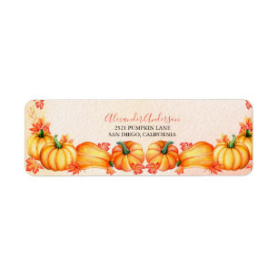 Citrouille automne   Thanksgiving