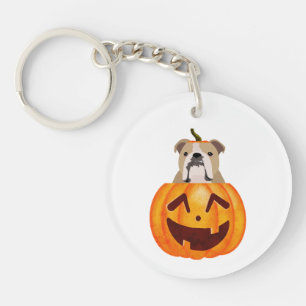 Citrouille Bulldog