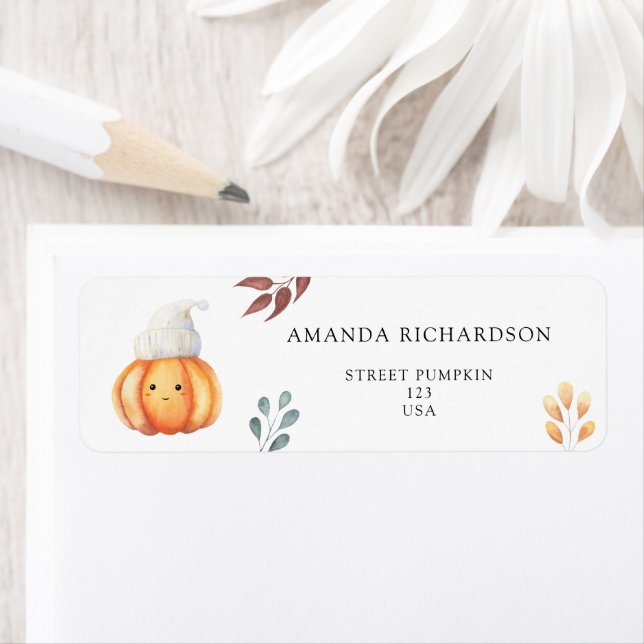 Citrouille d'automne en casquette (En situation)