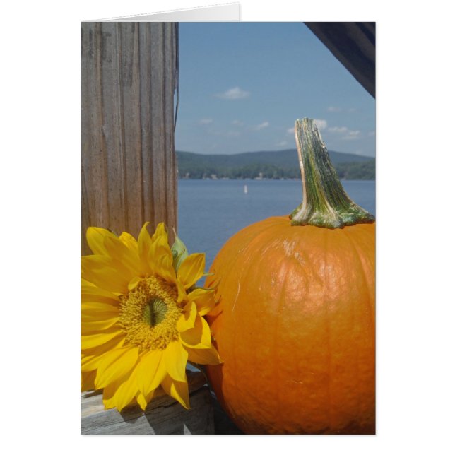 Citrouille et tournesol au lac (Devant)