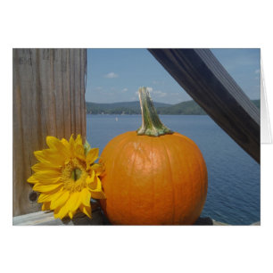 Citrouille et tournesol au lac
