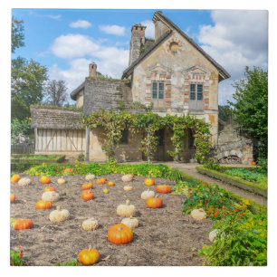 Citrouille patch et construction agricole carreaux