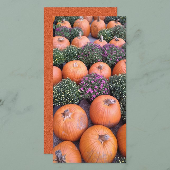 Citrouilles à la carte de marché (Créateur téléchargé)