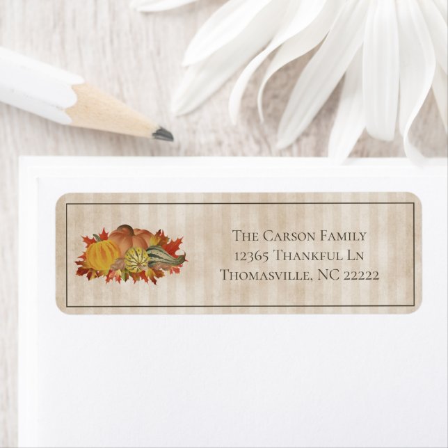 Citrouilles de Thanksgiving beige et Étiquette de  (En situation)
