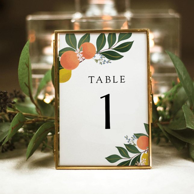 Citrus and Greenery  Table Number (Creator Uploaded)