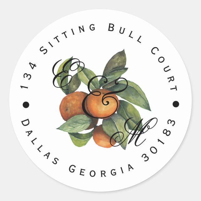 Citrus Botanical Orange Greenery Classic Round Sticker (Front)