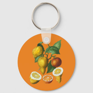 CITRUS FRUIT  KEYCHAIN