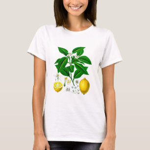 Citrus Fruit Lemon Botanical Print no. 7 Art T-Shirt