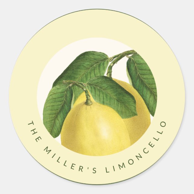 Citrus Fruit | Lemons | Homemade Limoncello Classic Round Sticker (Front)