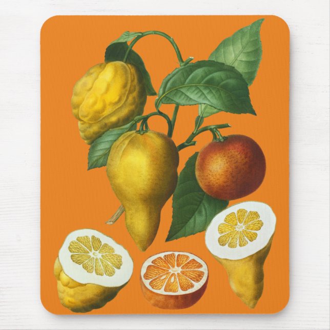 CITRUS FRUIT  MOUSE PAD (Front)