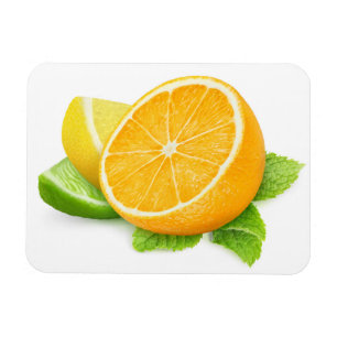 Citrus fruit slices magnet