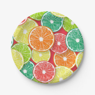 Citrus fruit slices pop art 2 paper plate