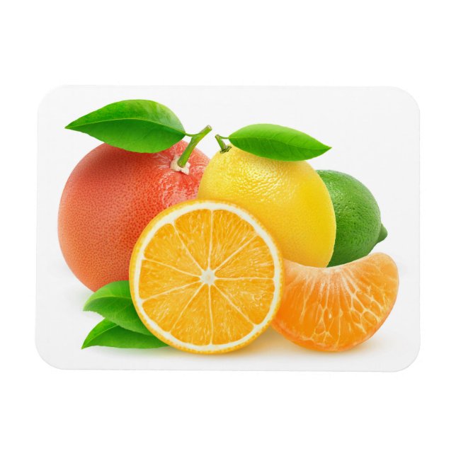 Citrus fruits magnet (Horizontal)