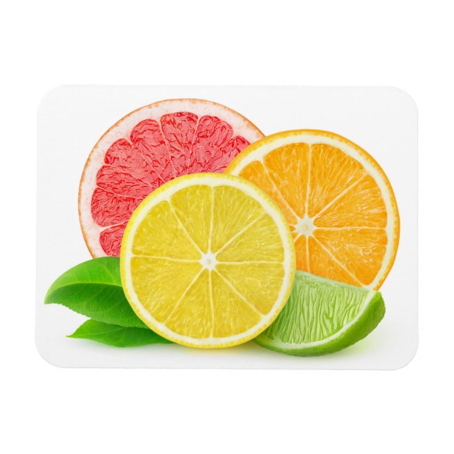 Citrus fruits magnet (Horizontal)