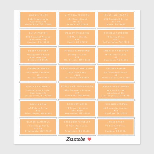 Citrus Minimalist Orange Wedding Guest Address (Sheet)