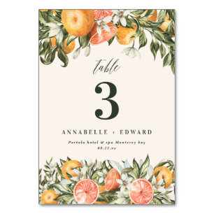 Citrus orange botanical modern rustic table number