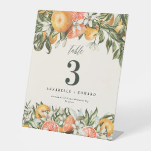 Citrus orange botanical modern rustic table number pedestal sign