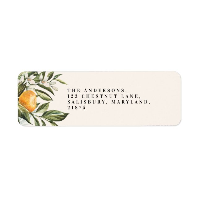 Citrus oranger fleurir botanique rustique bridal c (Devant)