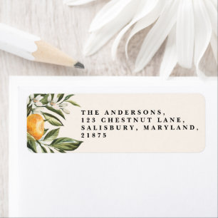 Citrus oranger fleurir botanique rustique bridal c