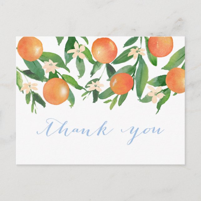 Citrus oranges blue boy Baby Shower thank you Postcard (Front)