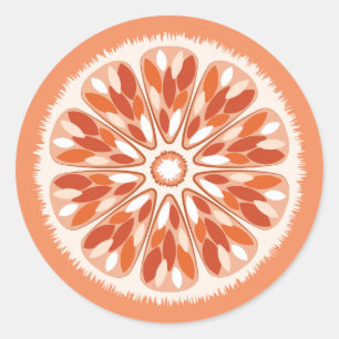 Citrus Slices Orange Classic Round Sticker