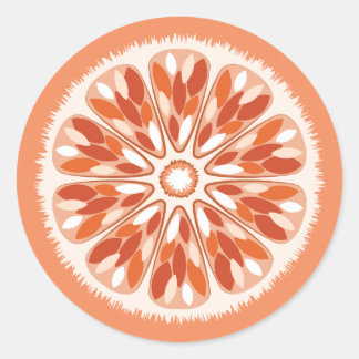 Citrus Slices Orange Classic Round Sticker