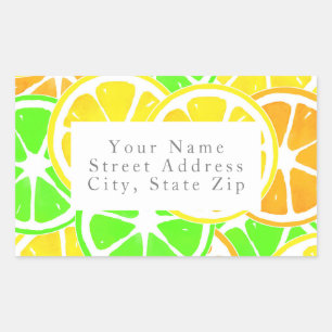 Citrus Slices Sticker