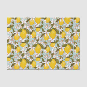 Citrus tissue paper