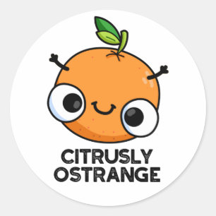 Citrusly Ostrange Funny Strange Orange Pun Classic Round Sticker