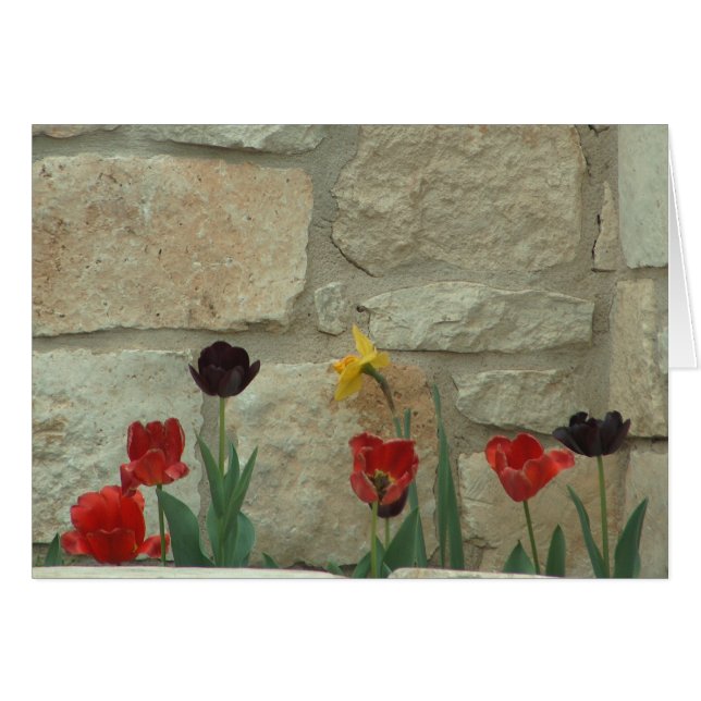 City Blooms (Front Horizontal)