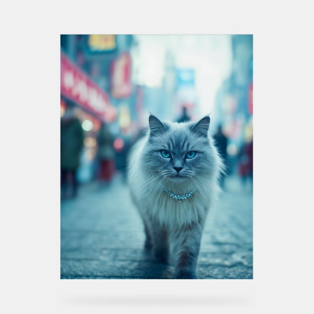 City Chic: The Catwalk Queen Acrylic Sign (Front)