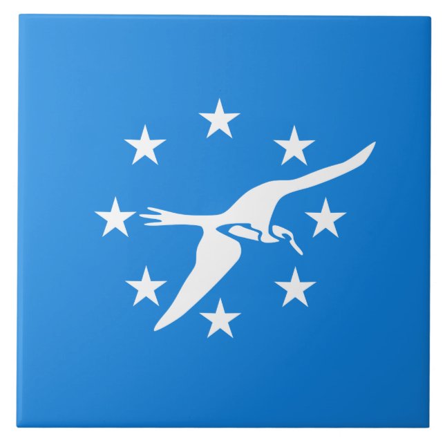 City Flag of Corpus Christi (Texas) Tile (Front)