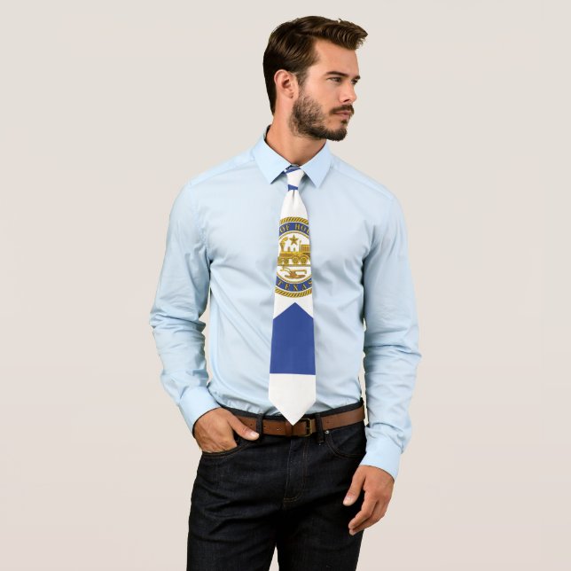 City Flag of Houston (Texas) Tie (In Situ)