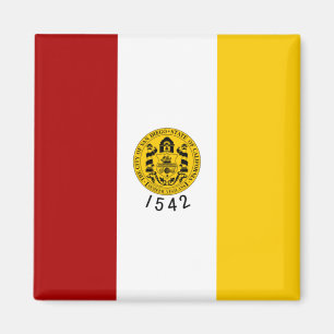 City Flag of San Diego (California) Magnet