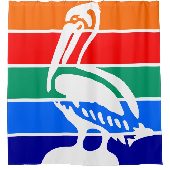 City Flag of St. Petersburg (Florida) (Front)